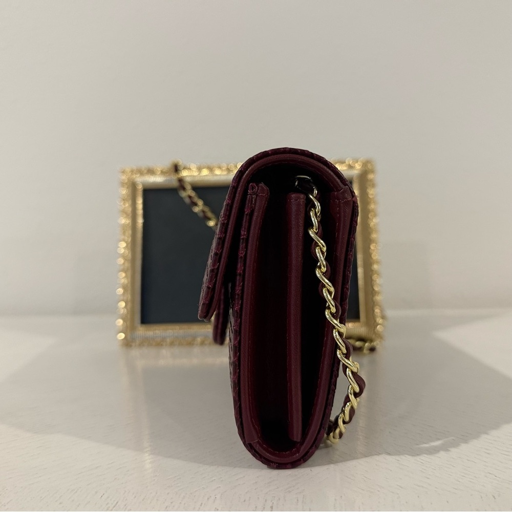 CHANEL Beauté Burgundy/Brown Python/Snake Skin Co… - image 6